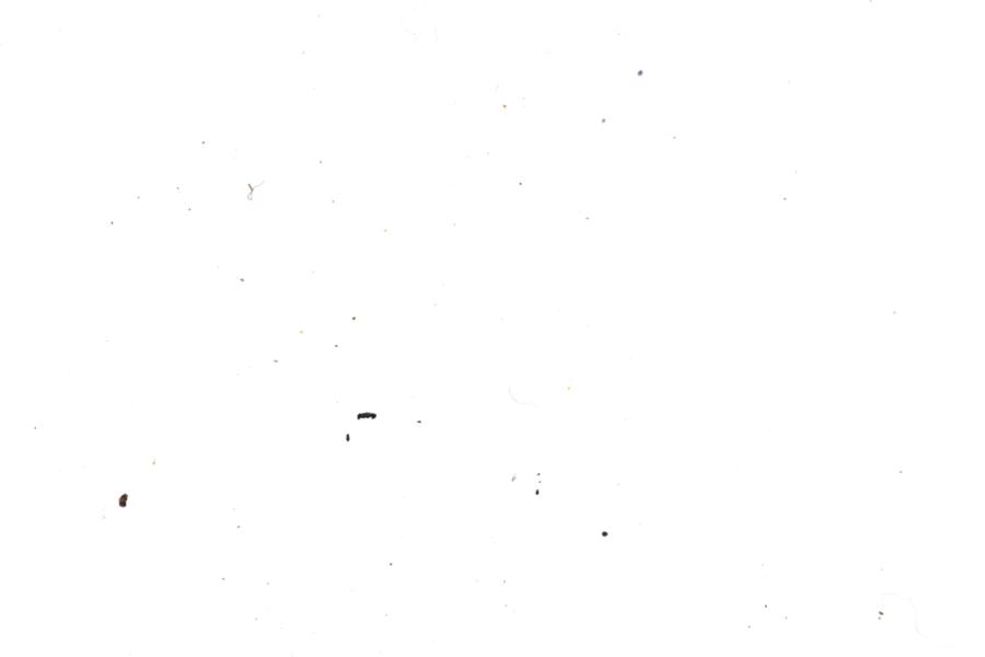 Image 33